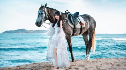 台风狂浪显著波高